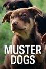 Muster Dogs