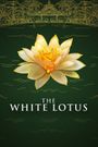 The White Lotus