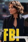 The FBI Declassified