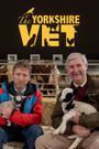 The Yorkshire Vet
