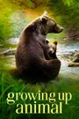 Growing Up Animal