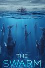 The Swarm