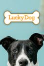 Lucky Dog