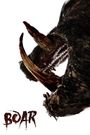 Boar