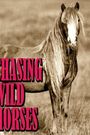 Chasing Wild Horses