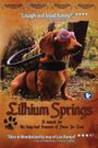 Lithium Springs