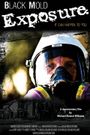 Black Mold Exposure
