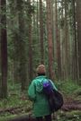 Forest Movie