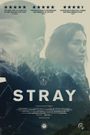 Stray
