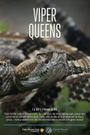 Viper Queens
