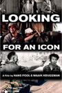 Looking for an Icon