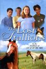 The Lost Stallions