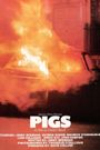 Pigs