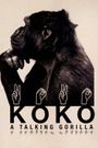 Koko: A Talking Gorilla