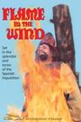 Flame in the Wind