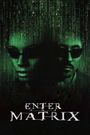 Making 'Enter the Matrix'