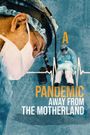 A Pandemic: Away from the Motherland