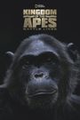 Kingdom of the Apes