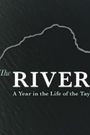 The River: A Year in the Life of The Tay