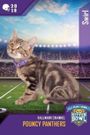 Kitten Bowl VIII