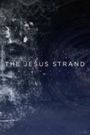 The Jesus Strand: A Search for DNA