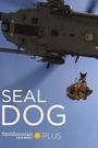 SEAL Dog