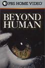 Beyond Human