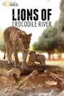 Lions of Crocodile River