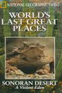 The Sonoran Desert: A Violent Eden