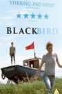 Blackbird