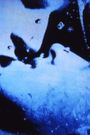 Self-Portrait in 23 Rounds: A Chapter in David Wojnarowicz's Life, 1989-1991