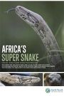 Africa's Super Snake