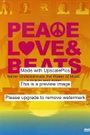 Peace Love & Beats