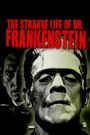 Le documentaire culturel