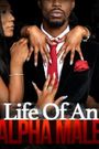 Life of an Alpha Male