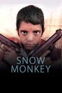 Snow Monkey