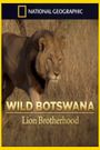 Lion Brotherhood