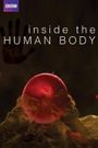 Inside the Human Body