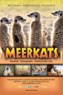 Meerkats 3D
