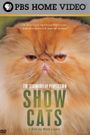 Standard of Perfection: Show Cats