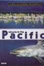 Miracle in the Pacific