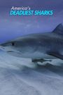 America's Deadliest Sharks
