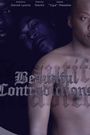 Beautiful Contradictions