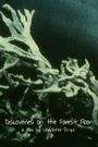 Discoveries on the Forest Floor 1-3