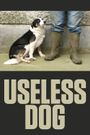 Useless Dog