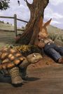The Story of 'The Tortoise & the Hare'