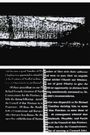 Secret History of the Dividing Line