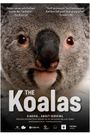 The Koalas