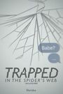 Trapped in the Spider's Web