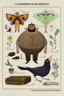 The Rainbow Dung Beetle